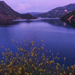 دانلود آهنگ فریبا داوود مقامی فریبا